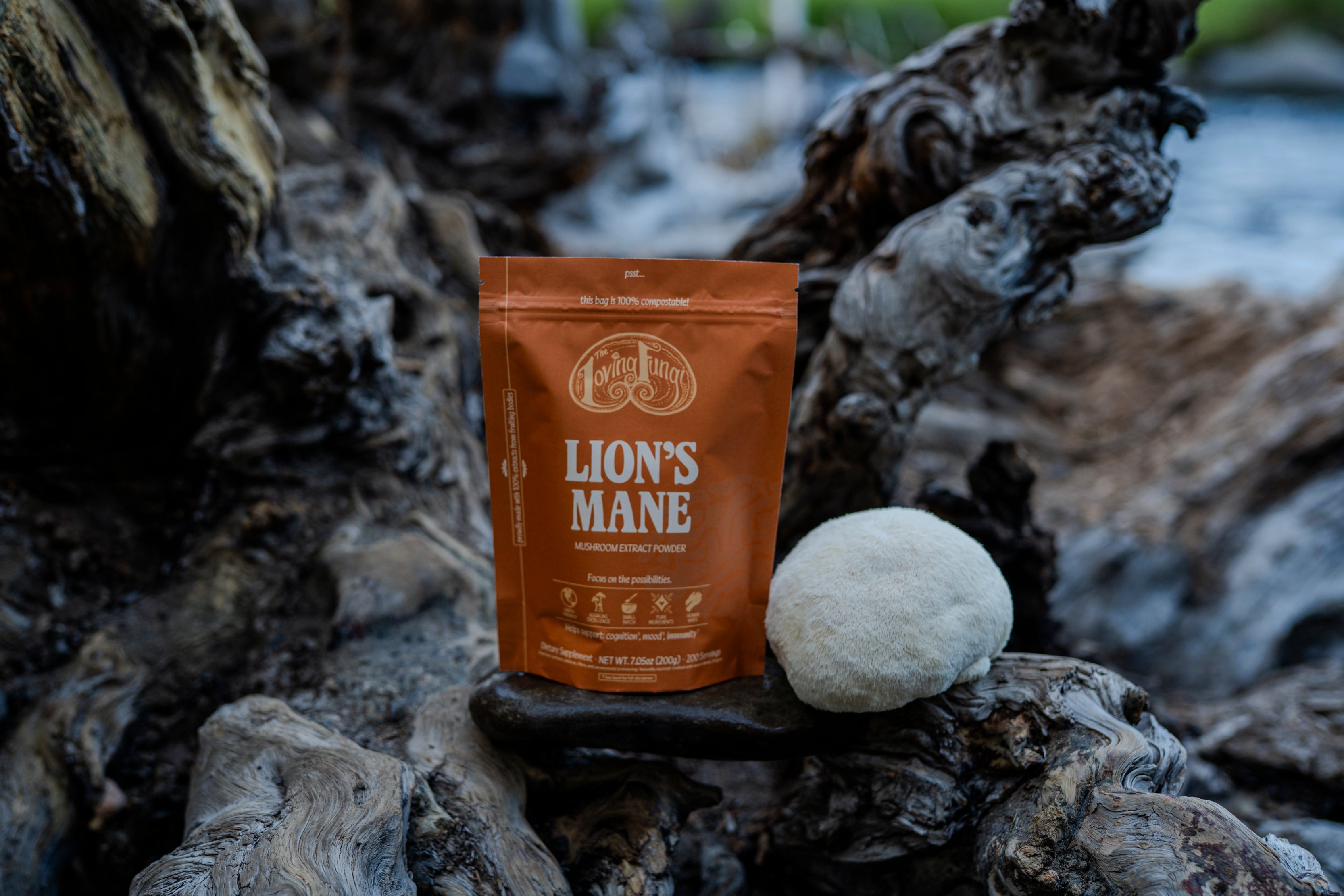 Lions Mane Mushroom Powder - 200 Servings
